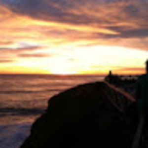 Meet your Posher, Bernard